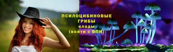 гидра Новокубанск