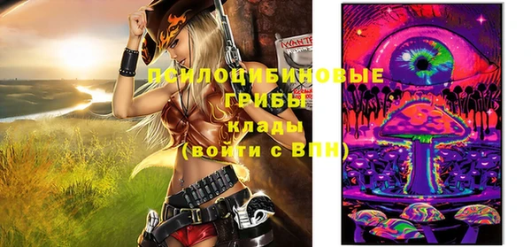 ешки Иннополис