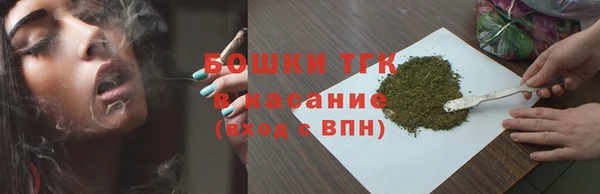 стаф Белая Холуница