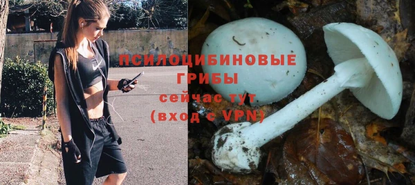 синтетический гашиш Нефтекумск